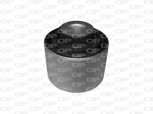 Mounting, control/trailing arm (SSS1145.11)