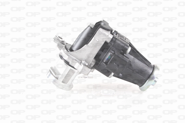 EGR Valve (EGR3013.00)