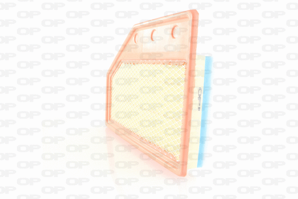 Air Filter (EAF3719.10)