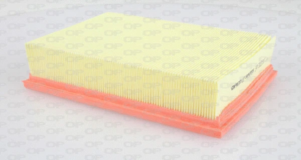 Air Filter (EAF3120.10)