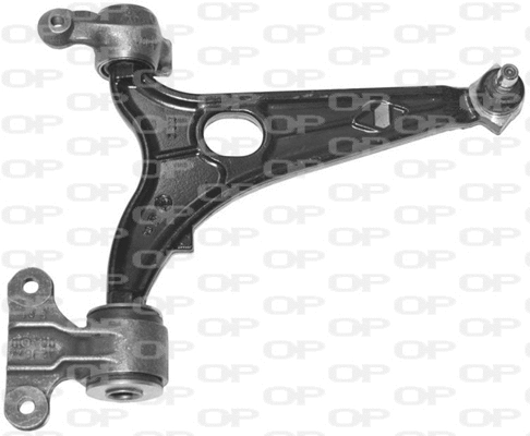 Control/Trailing Arm, wheel suspension (SSW1189.01)