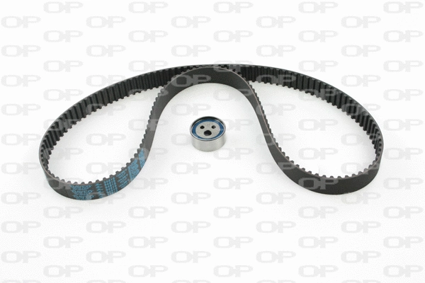 Timing Belt Kit (TBK5034.01)