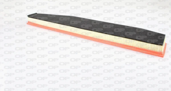 Air Filter (EAF3245.10)