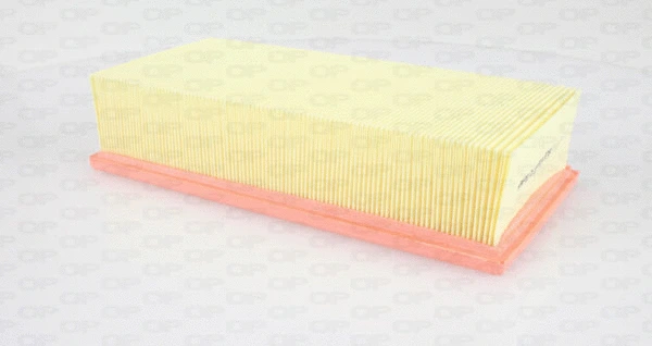 Air Filter (EAF3373.10)