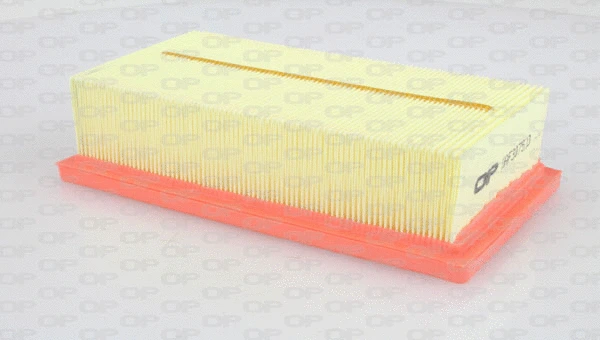 Air Filter (EAF3075.10)