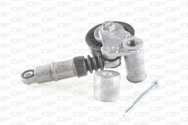 Belt Tensioner, V-ribbed belt (ACT2172.00)