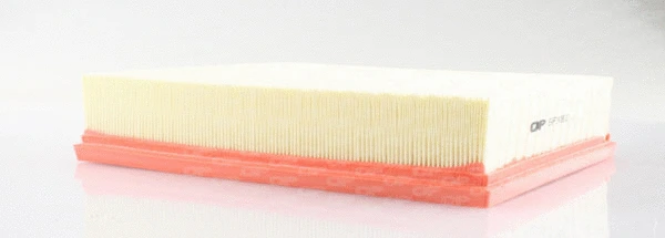 Air Filter (EAF3439.10)