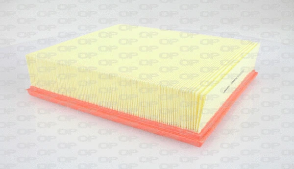 Air Filter (EAF3081.10)