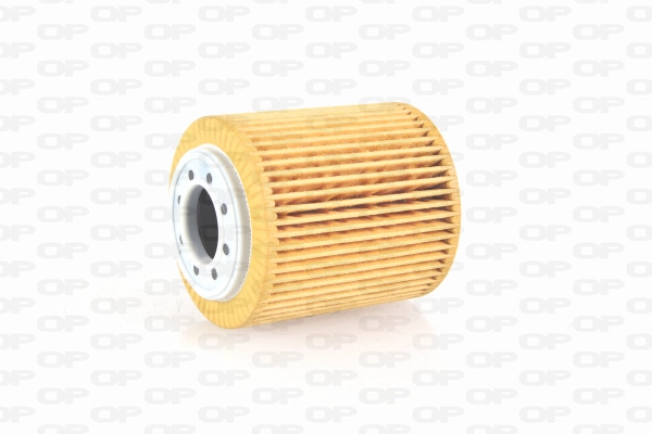 Oil Filter (EOF4252.10)