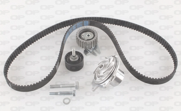 Water Pump & Timing Belt Kit (WTBK5003.00)