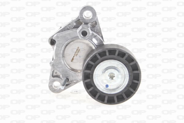 Belt Tensioner, V-ribbed belt (ACT2195.00)