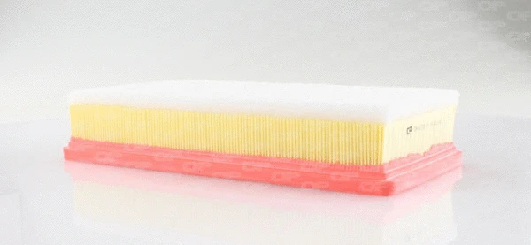Air Filter (EAF3150.10)
