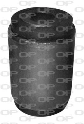 Mounting, control/trailing arm (SSS1085.11)