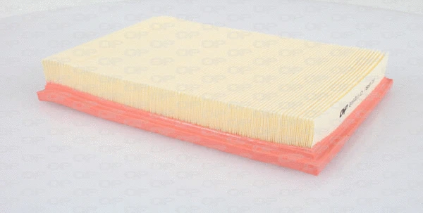 Air Filter (EAF3013.10)