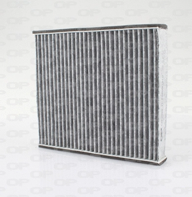 Filter, cabin air (CAF2025.11)