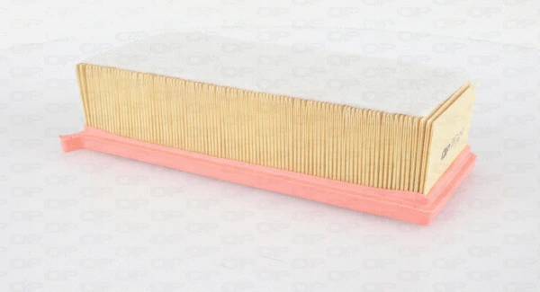 Air Filter (EAF3624.10)
