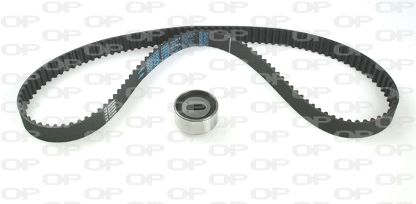 Timing Belt Kit (TBK5133.01)