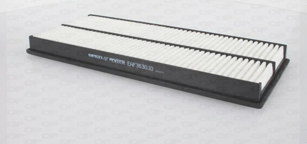 Air Filter (EAF3630.10)