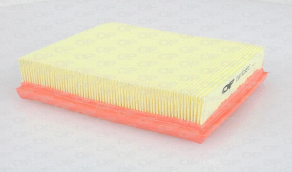 Air Filter (EAF3035.10)