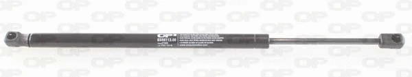 Gas Spring, boot/cargo area (GSR6113.00)