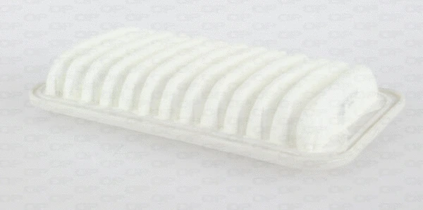 Air Filter (EAF3625.10)