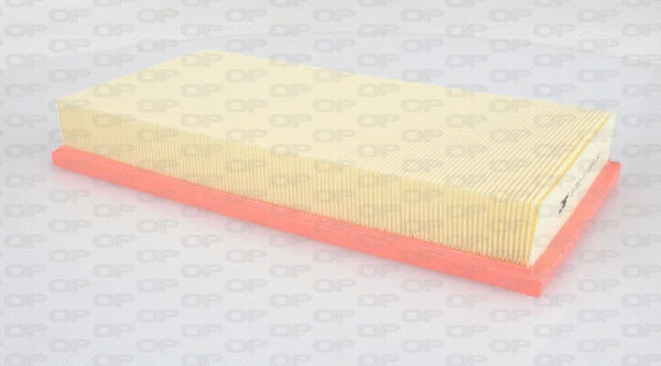 Air Filter (EAF3007.10)