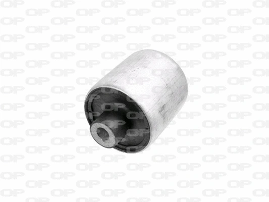 Mounting, control/trailing arm (SSS1148.11)
