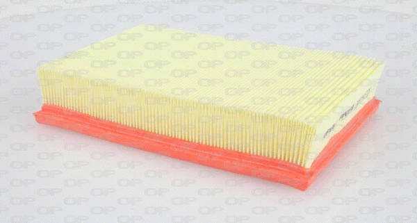 Air Filter (EAF3143.10)