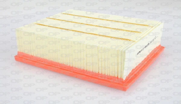 Air Filter (EAF3107.10)