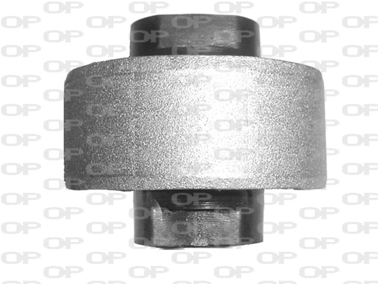 Mounting, control/trailing arm (SSS1026.11)