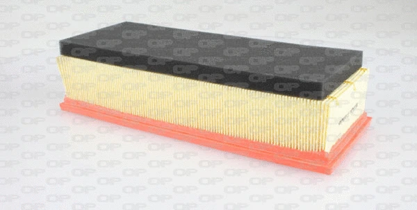 Air Filter (EAF3313.10)