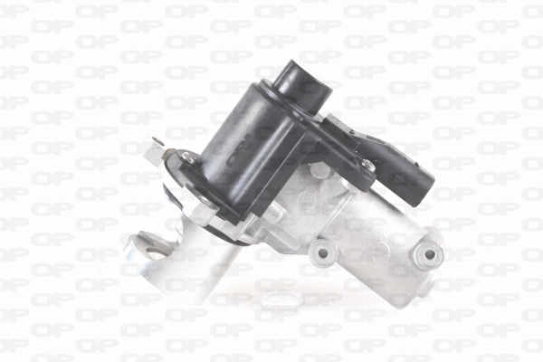 EGR Valve (EGR3023.00)