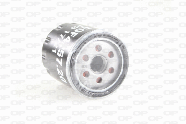 Oil Filter (EOF4257.20)