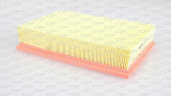 Air Filter (EAF3184.10)