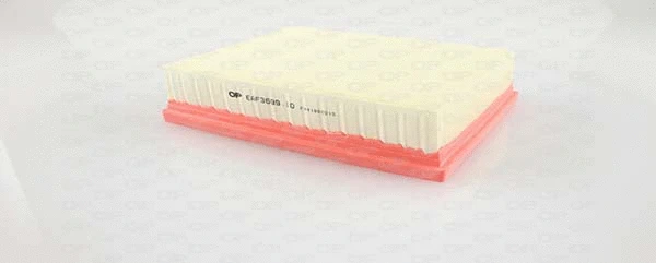 Air Filter (EAF3699.10)