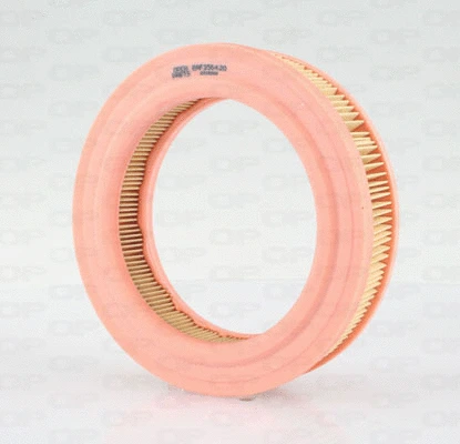 Air Filter (EAF3564.20)