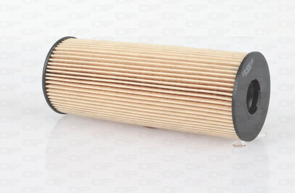 Oil Filter (EOF4052.10)