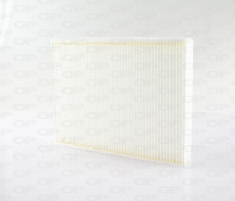 Filter, cabin air (CAF2310.01)