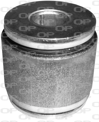 Mounting, control/trailing arm (SSS1058.11)