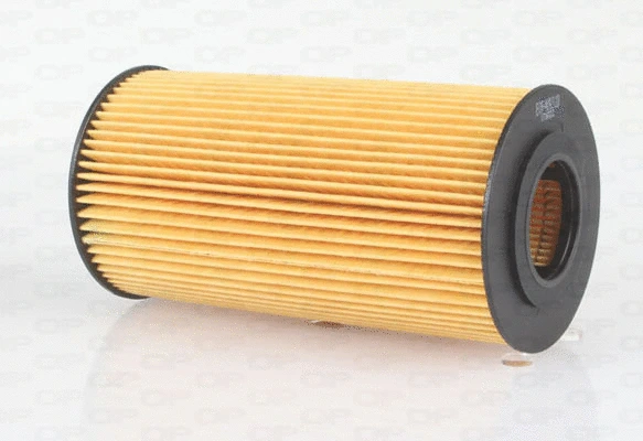 Oil Filter (EOF4093.10)