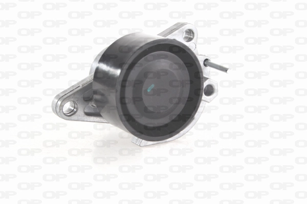 Belt Tensioner, V-ribbed belt (ACT2293.00)