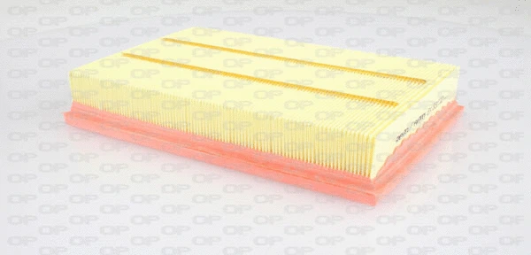 Air Filter (EAF3312.10)