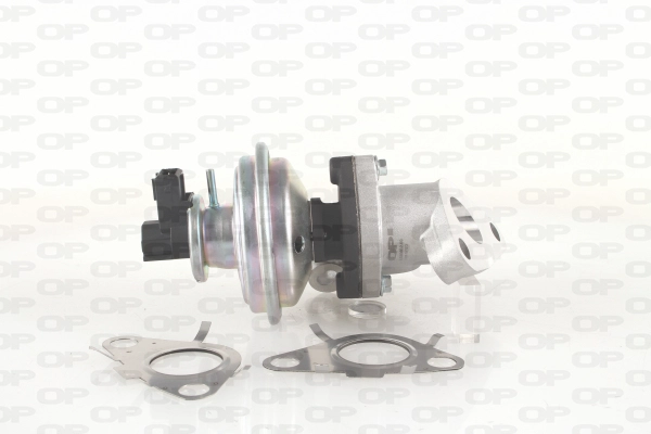 EGR Valve (EGR3032.00)