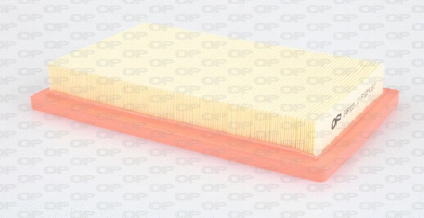 Air Filter (EAF3028.10)