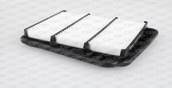 Air Filter (EAF3247.10)