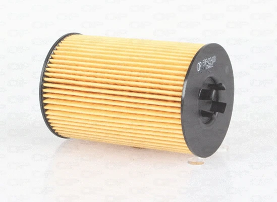 Oil Filter (EOF4224.10)
