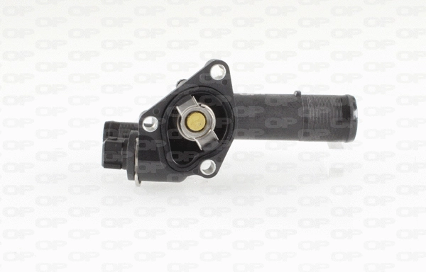 Thermostat, coolant (TRM1062.00)