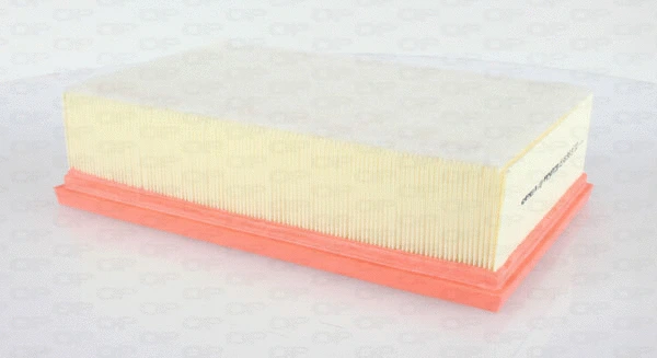 Air Filter (EAF3637.10)