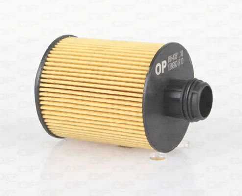 Oil Filter (EOF4031.10)