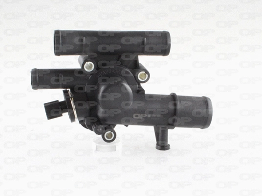 Thermostat, coolant (TRM1060.00)